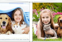 SERÁ QUE VIVEMOS BEM COM O NOSSO PET? SERÁ QUE VIVEMOS BEM COM O NOSSO PET?