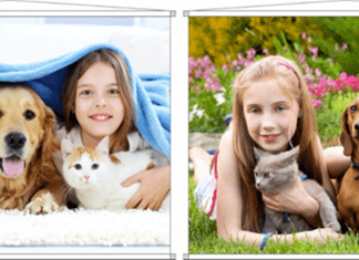 SERÁ QUE VIVEMOS BEM COM O NOSSO PET? SERÁ QUE VIVEMOS BEM COM O NOSSO PET?