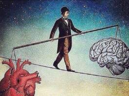 Cérebro e o Coração