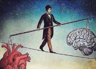 Cérebro e o Coração. Quem está com a razão? Cérebro e o Coração