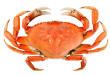 CÂNCER: COMO ELE SE DESENVOLVE E COMO PREVENIR?