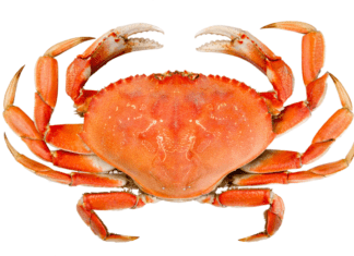 CÂNCER: COMO ELE SE DESENVOLVE E COMO PREVENIR?