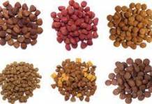 POR QUE A ALIMENTAÇÃO EQUILIBRADA É A CHAVE DA SAÚDE DO MEU PET?